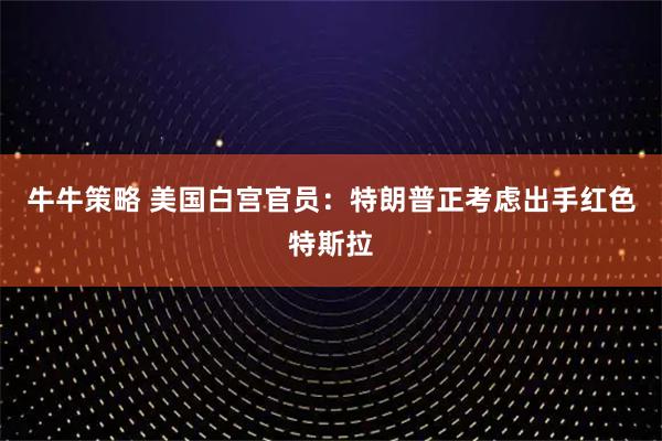 牛牛策略 美国白宫官员：特朗普正考虑出手红色特斯拉