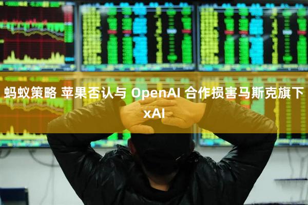 蚂蚁策略 苹果否认与 OpenAI 合作损害马斯克旗下xAI