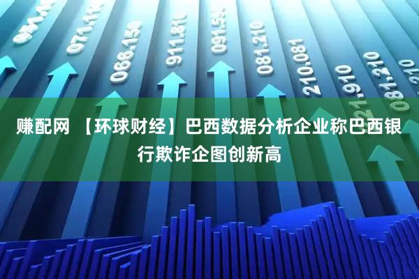 赚配网 【环球财经】巴西数据分析企业称巴西银行欺诈企图创新高